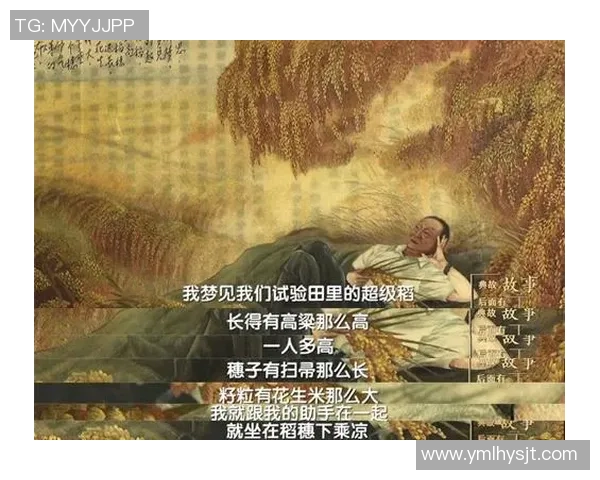 从乡村小子到绿茵场上的闪耀明星的奋斗故事