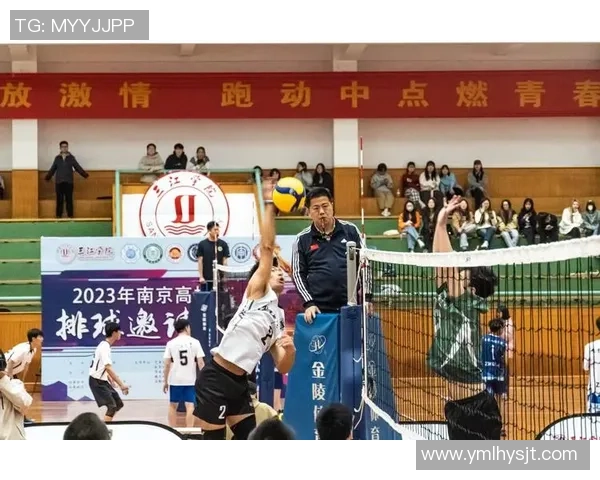 南京排球队心理素质探究：提升竞技表现与团队协作的关键因素