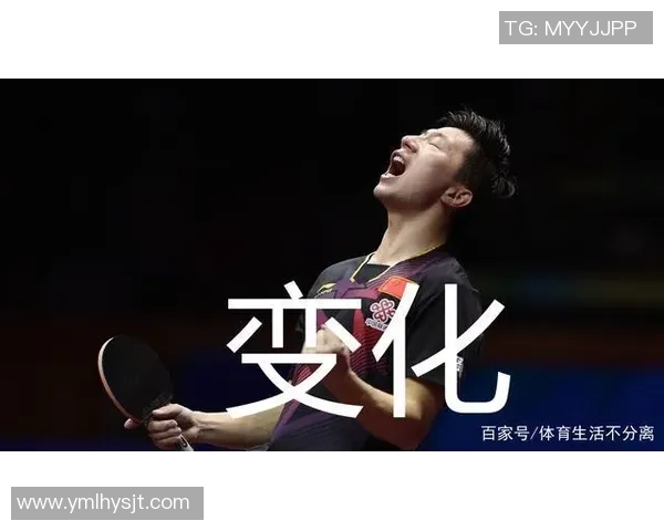 武汉篮球队战术解析与大满贯点评展现球队实力与潜力