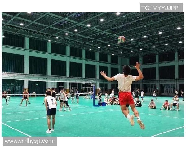 上海排球队的奋进之路与挑战赛的辉煌成就全景回顾