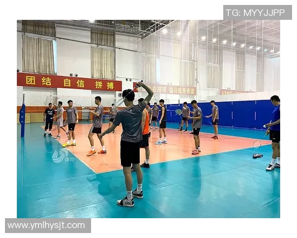 深度对话:探索刘磊的排球人生与奋斗历程