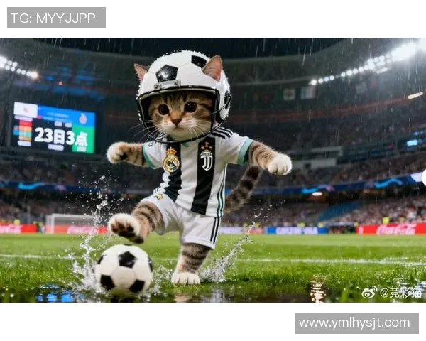 当足球明星与可爱猫咪的奇妙邂逅带来的温馨与欢乐